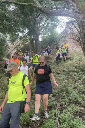 Grupo de atletas em prova de trail no meio da natureza